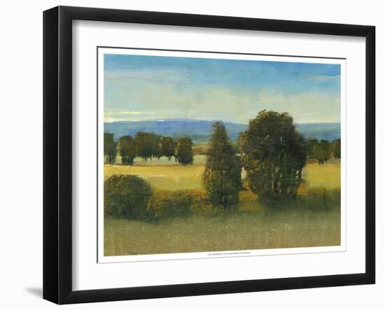 Verdant Meadow I-Tim O'toole-Framed Art Print