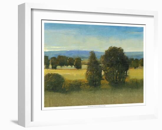 Verdant Meadow I-Tim O'toole-Framed Art Print