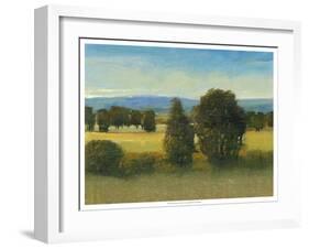 Verdant Meadow I-Tim O'toole-Framed Art Print