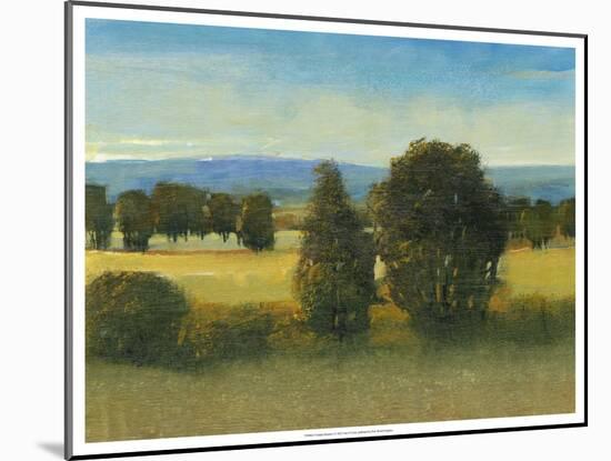 Verdant Meadow I-Tim O'toole-Mounted Art Print