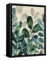 Verdant Sophistication II-June Vess-Framed Stretched Canvas