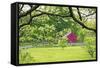 Verdant Spring In New Jersey-George Oze-Framed Stretched Canvas