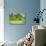 Verdant Spring In New Jersey-George Oze-Stretched Canvas displayed on a wall