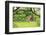 Verdant Spring In New Jersey-George Oze-Framed Photographic Print