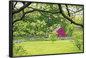 Verdant Spring In New Jersey-George Oze-Framed Photographic Print