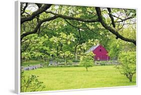 Verdant Spring In New Jersey-George Oze-Framed Photographic Print