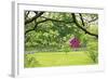 Verdant Spring In New Jersey-George Oze-Framed Photographic Print