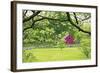 Verdant Spring In New Jersey-George Oze-Framed Photographic Print