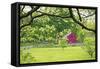 Verdant Spring In New Jersey-George Oze-Framed Stretched Canvas