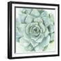 Verdant Succulent I-Victoria Borges-Framed Art Print