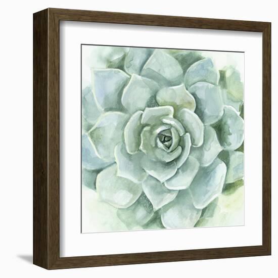 Verdant Succulent I-Victoria Borges-Framed Art Print