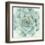 Verdant Succulent I-Victoria Borges-Framed Art Print