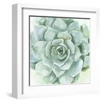 Verdant Succulent I-Victoria Borges-Framed Art Print