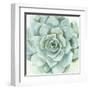 Verdant Succulent I-Victoria Borges-Framed Art Print