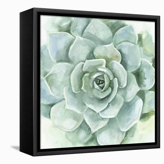 Verdant Succulent I-Victoria Borges-Framed Stretched Canvas