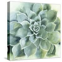 Verdant Succulent II-Victoria Borges-Stretched Canvas