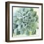 Verdant Succulent II-Victoria Borges-Framed Art Print