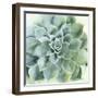 Verdant Succulent II-Victoria Borges-Framed Art Print