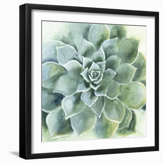 Verdant Succulent II-Victoria Borges-Framed Art Print