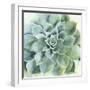 Verdant Succulent II-Victoria Borges-Framed Art Print