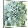 Verdant Succulent II-Victoria Borges-Mounted Art Print