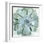 Verdant Succulent III-Victoria Borges-Framed Art Print