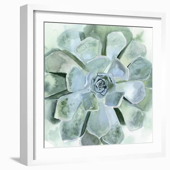 Verdant Succulent III-Victoria Borges-Framed Art Print