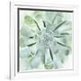 Verdant Succulent IV-Victoria Borges-Framed Art Print