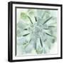 Verdant Succulent IV-Victoria Borges-Framed Art Print