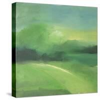 Verdant-Tim Nyberg-Stretched Canvas