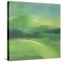 Verdant-Tim Nyberg-Stretched Canvas