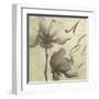 Verde Botanicals II-Liz Jardine-Framed Art Print