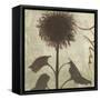 Verde Botanicals III-Liz Jardine-Framed Stretched Canvas