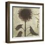 Verde Botanicals III-Liz Jardine-Framed Art Print