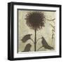 Verde Botanicals III-Liz Jardine-Framed Art Print