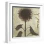 Verde Botanicals III-Liz Jardine-Framed Art Print