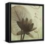 Verde Botanicals IV-Liz Jardine-Framed Stretched Canvas