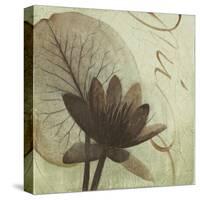 Verde Botanicals IV-Liz Jardine-Stretched Canvas