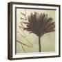 Verde Botanicals VIII-Liz Jardine-Framed Art Print