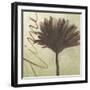 Verde Botanicals VIII-Liz Jardine-Framed Art Print