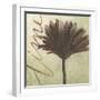 Verde Botanicals VIII-Liz Jardine-Framed Art Print