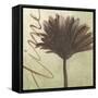 Verde Botanicals VIII-Liz Jardine-Framed Stretched Canvas