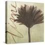Verde Botanicals VIII-Liz Jardine-Stretched Canvas