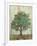 Verdi Trees I-Silvia Vassileva-Framed Premium Giclee Print