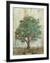 Verdi Trees I-Silvia Vassileva-Framed Premium Giclee Print