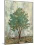 Verdi Trees II-Silvia Vassileva-Mounted Premium Giclee Print