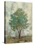 Verdi Trees II-Silvia Vassileva-Stretched Canvas