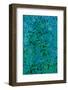 Verdigris I-Doug Chinnery-Framed Photographic Print