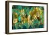 Verdigris Sunflower-Mindy Sommers-Framed Giclee Print