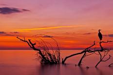 Soft Landing-Verdon-Photographic Print